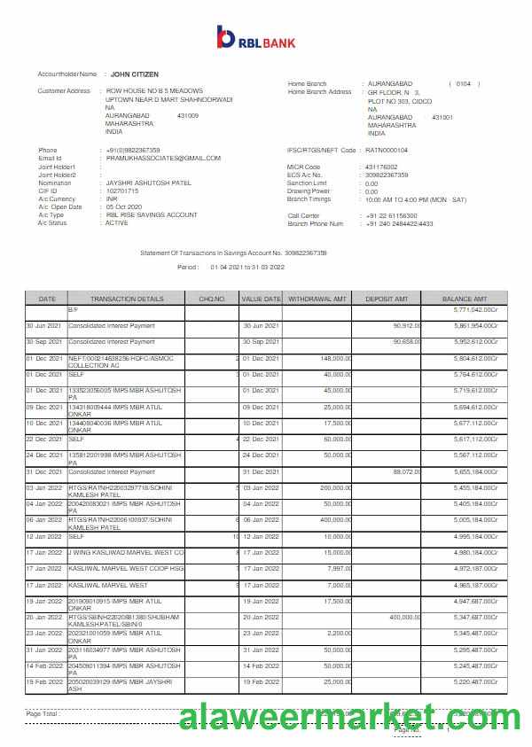 India RBL bank statement Word and PDF template scr